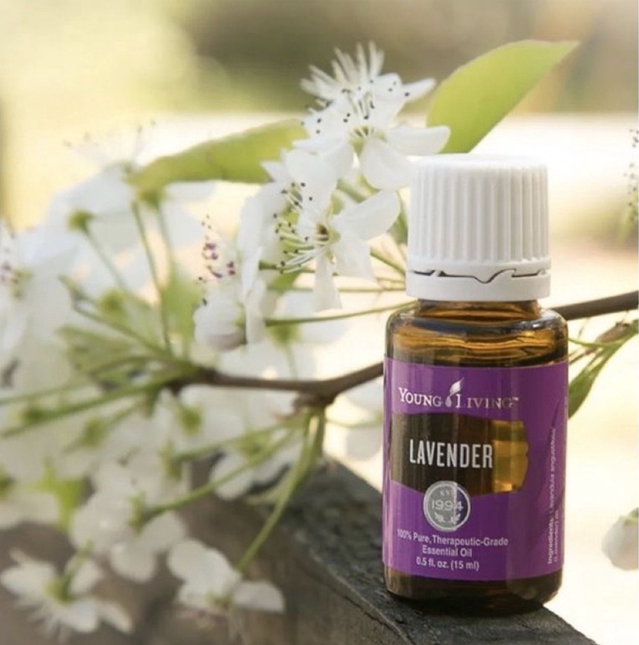Lavender Essential Oil 15ml