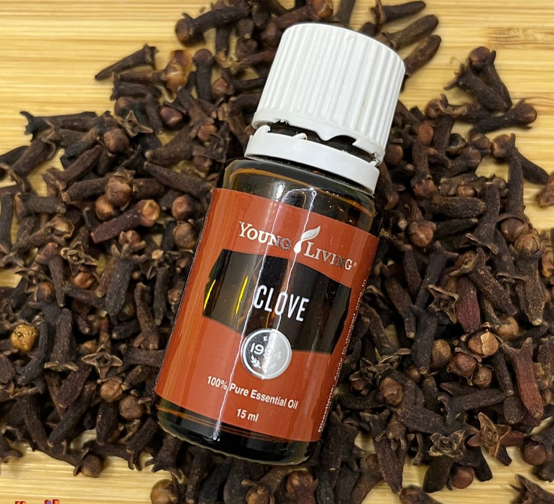 Clove Essential Oil 15ml